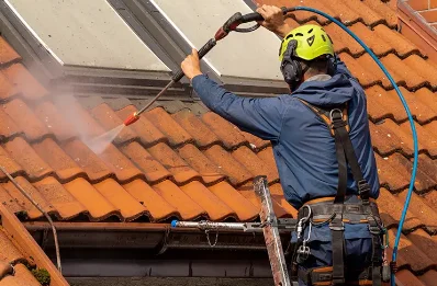 Démoussage et hydrofuge de toiture à Jussy